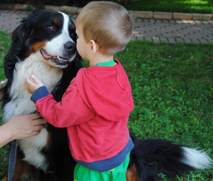 Pet Therapy