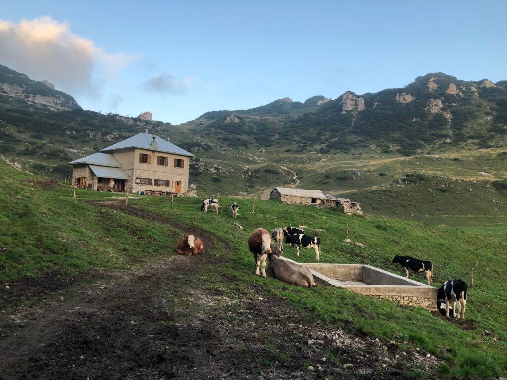 malga campobrun