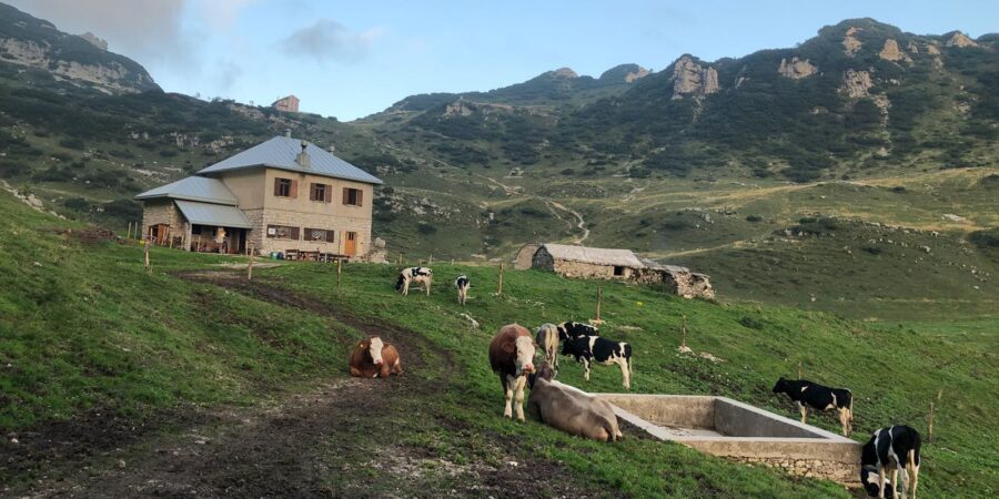 malga campobrun