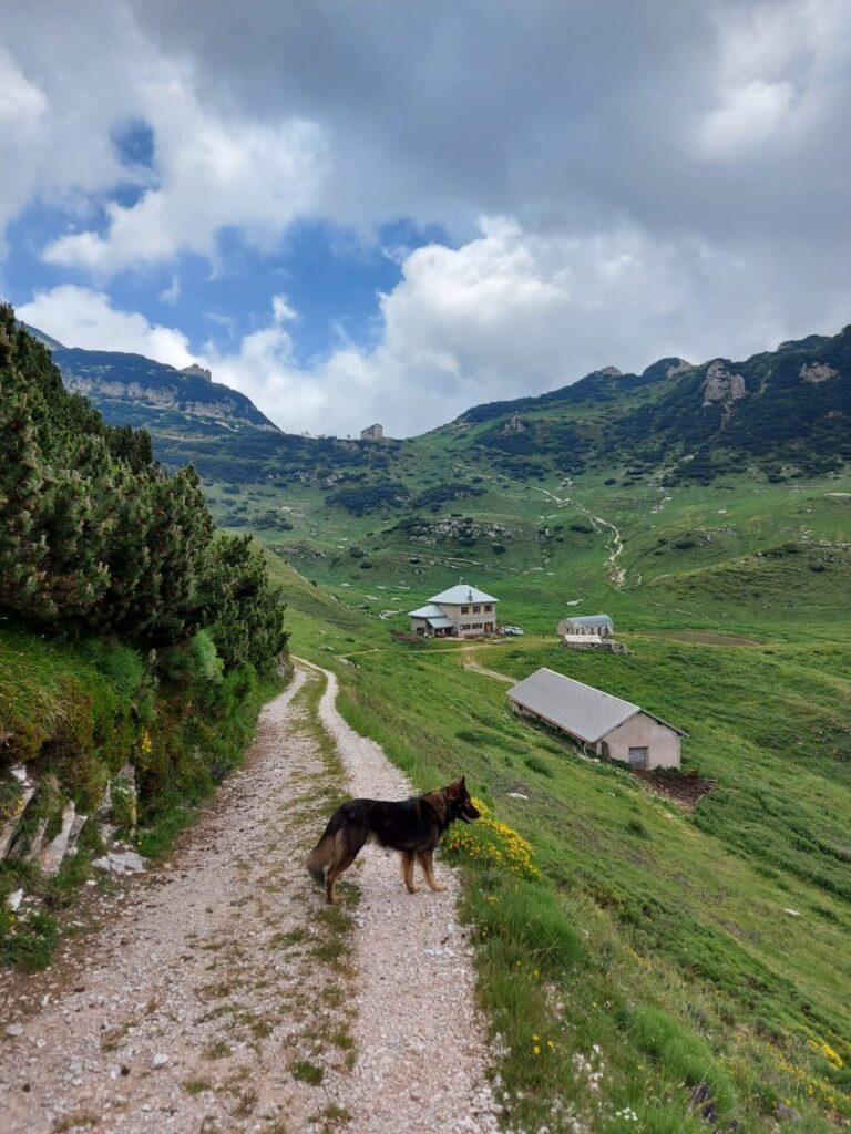 malga campobrun